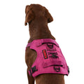 Double Handle Dog Harness B2854