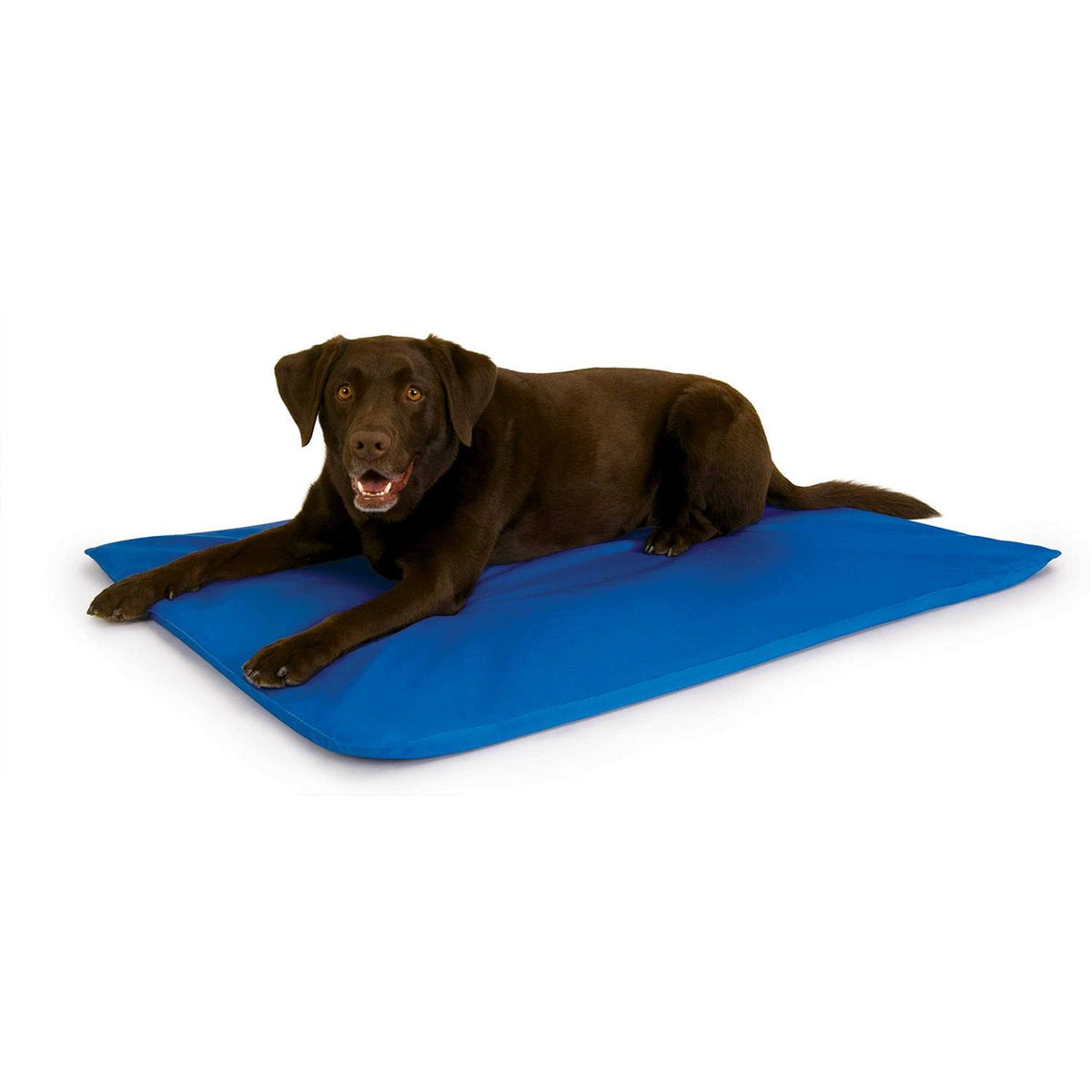 Cool Pet Bed D6812