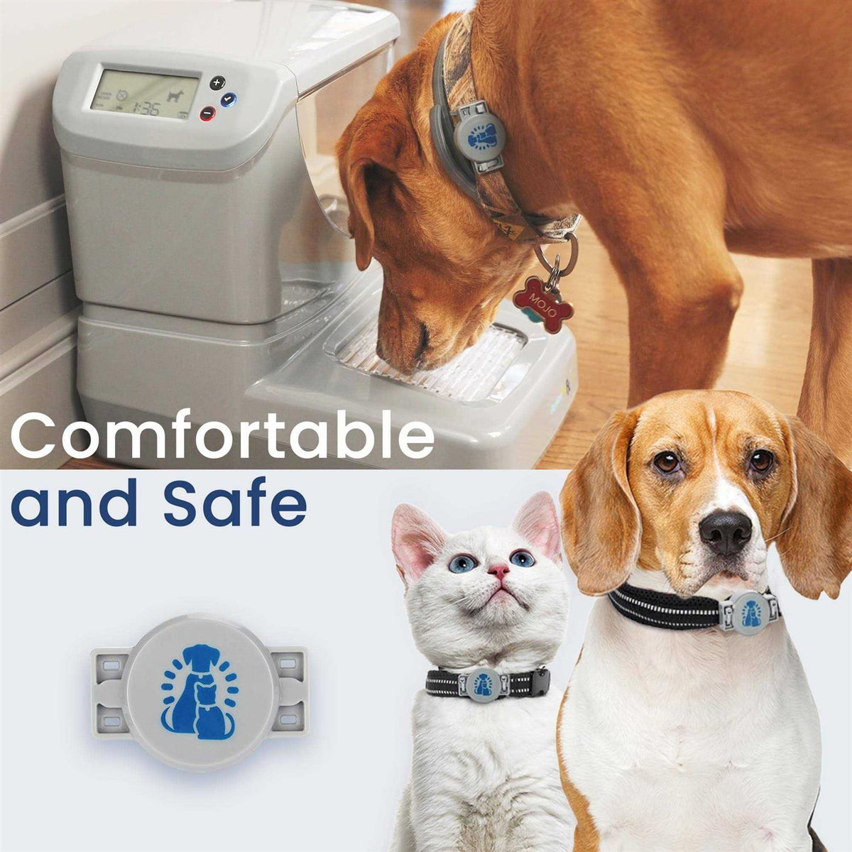 RFID Dog & Cat Collar Tag S2586