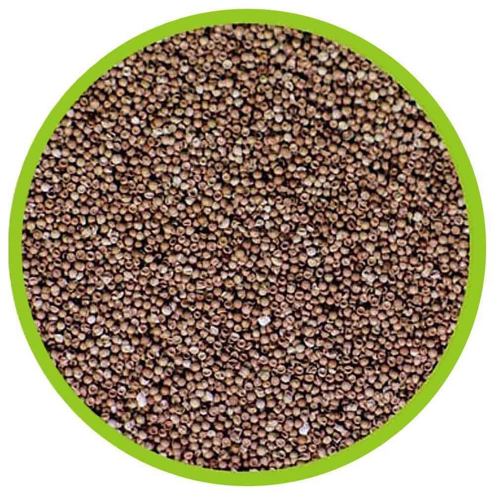 Artemia Hatchery R774151