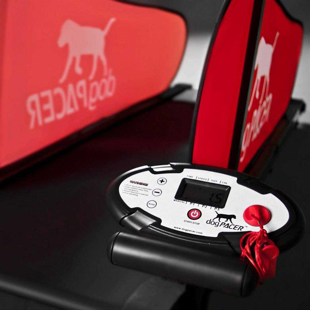 Dog Treadmill U7180