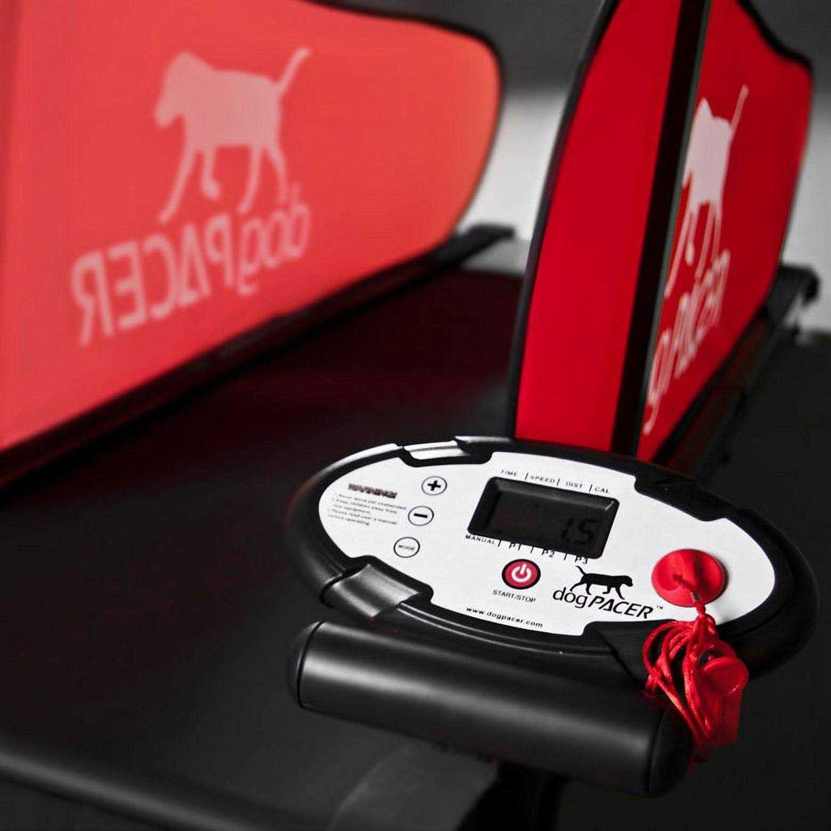 Dog Treadmill U7180