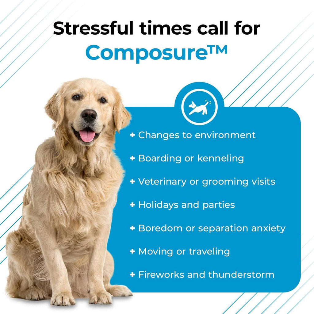 Calming Supplement for Dogs K901789