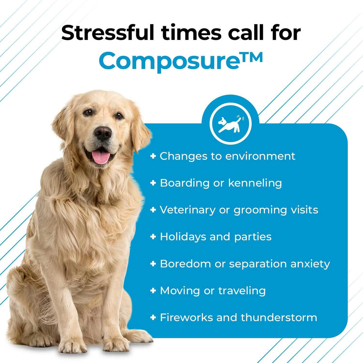 Calming Supplement for Dogs K901789