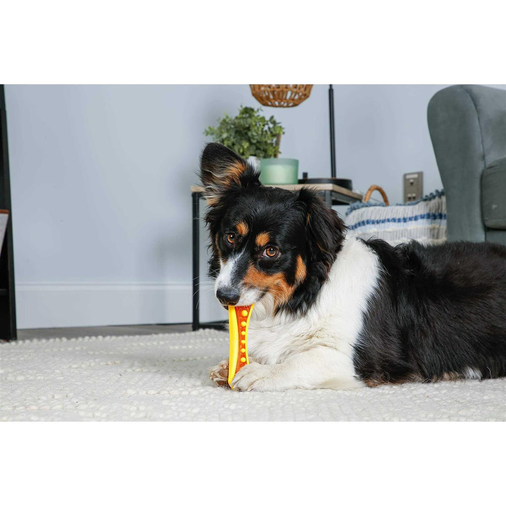 Dog Chew Toy Treat N9895