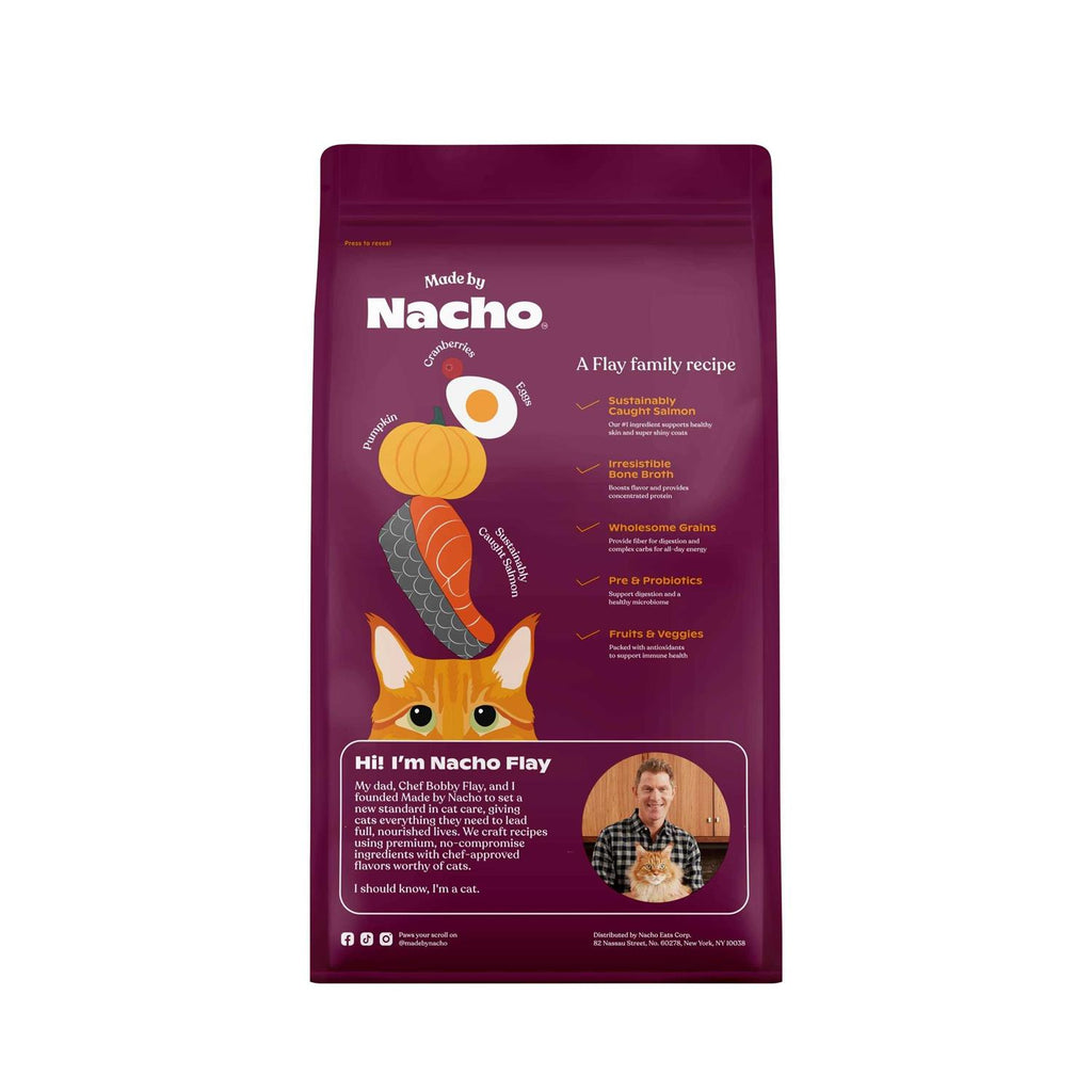 Salmon & Pumpkin Recipe Dry Cat Food B44986