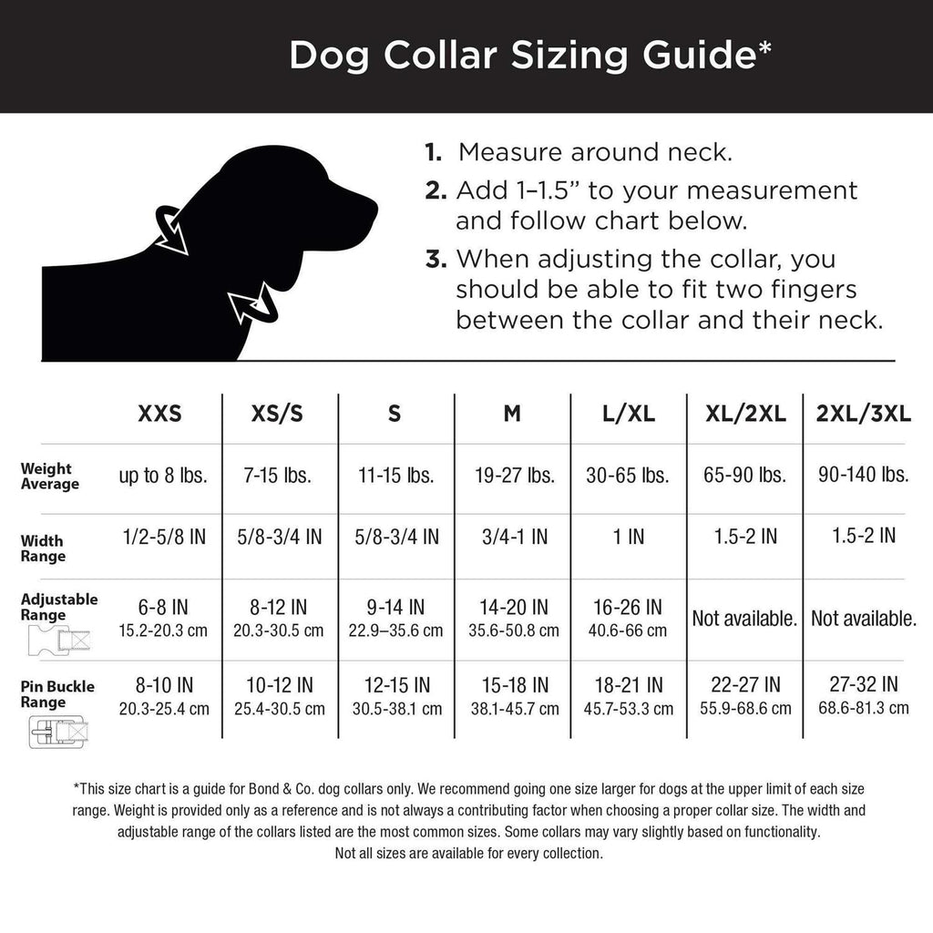 Purple Ombre Wipeable Dog Collar B499069