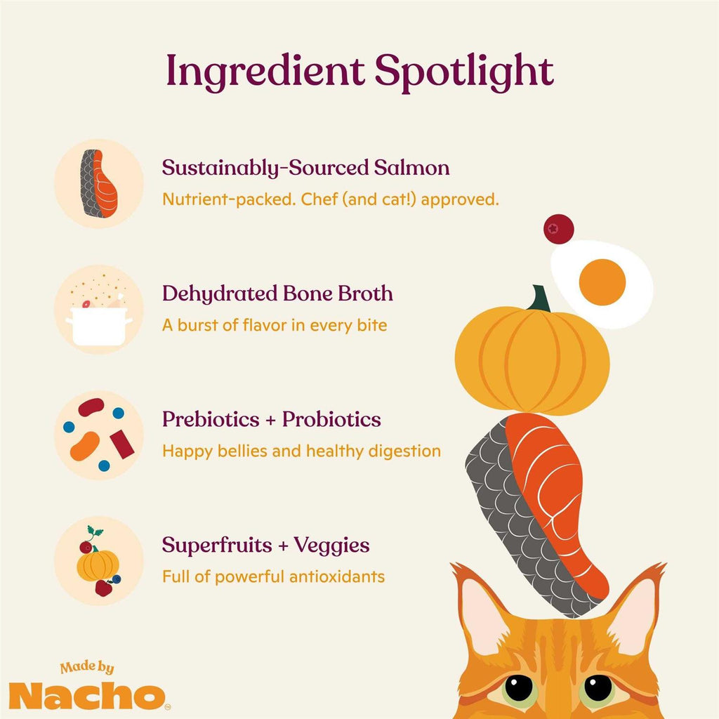 Salmon & Pumpkin Recipe Dry Cat Food B44986