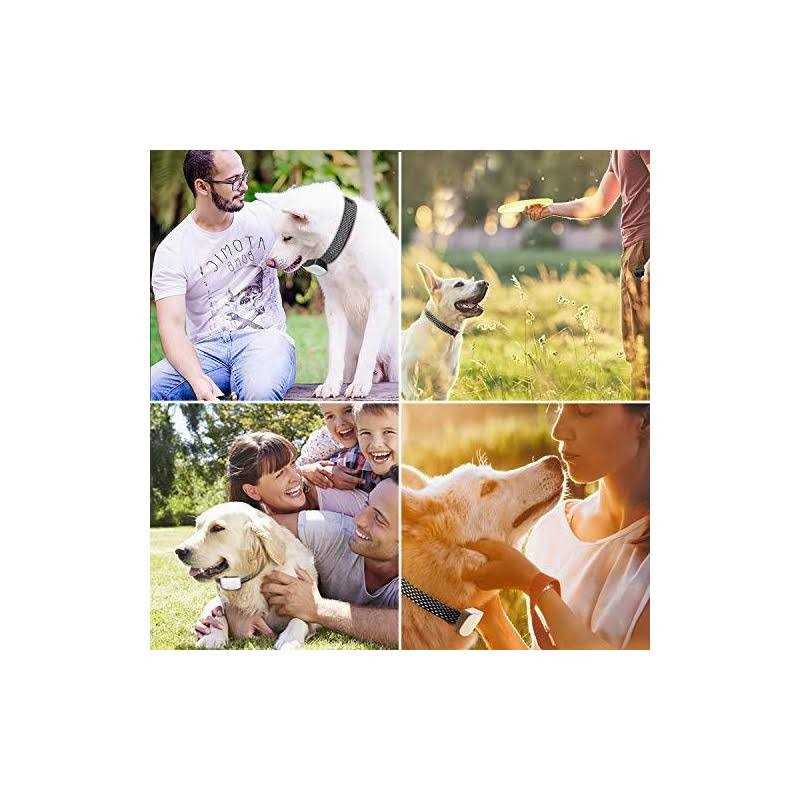 Rechargeable Anti Barking Training Collar X5550