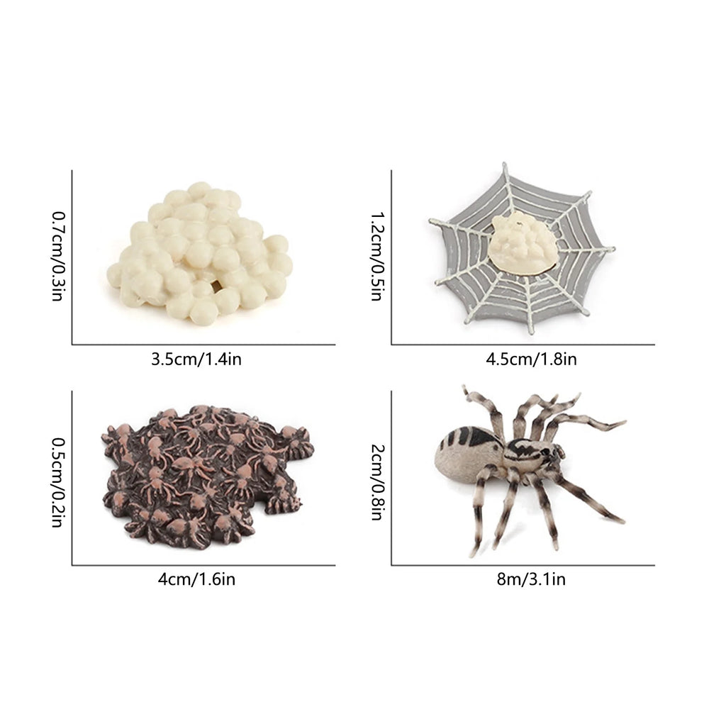 4 Piece Insect Animal Life Cycle Plastic Figures P67317