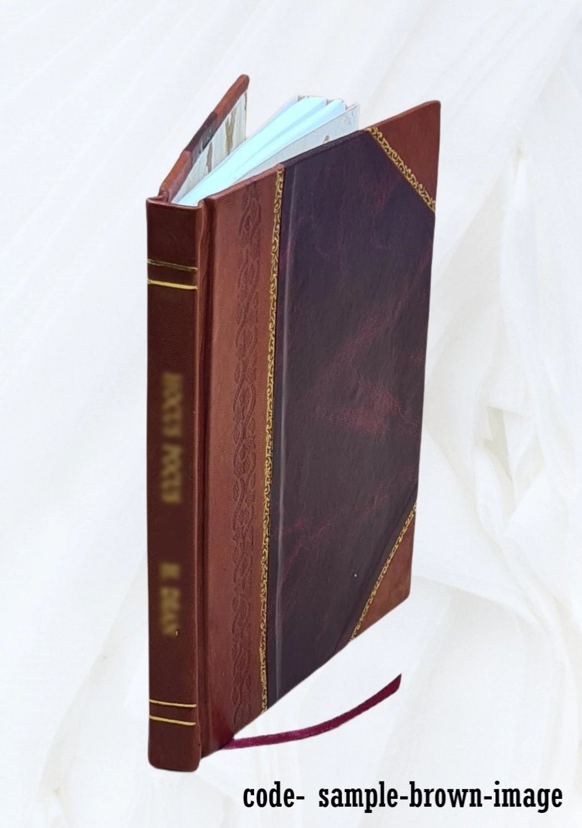 Modern Assaying Treatise with 80 Illustrations H99789