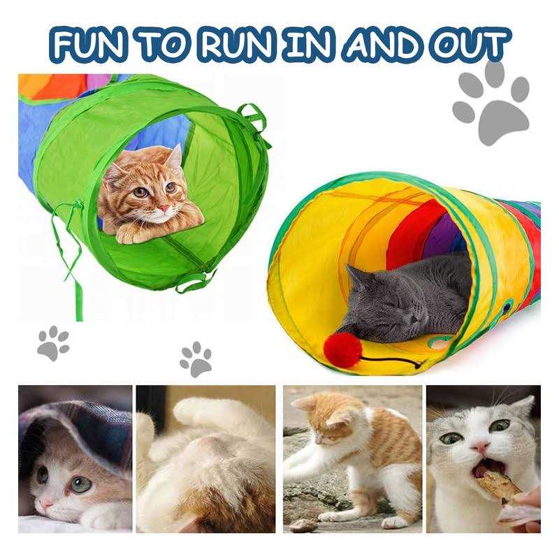 Cat Tunnel X12372