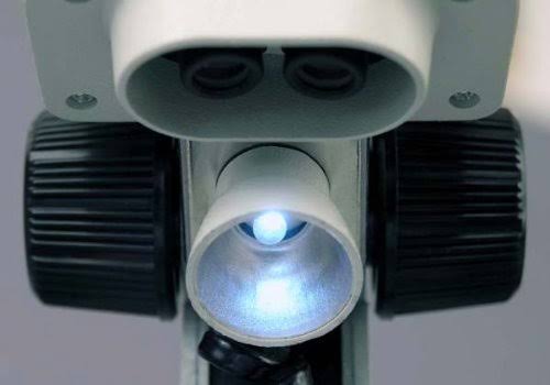 Portable Binocular Stereo Microscope, 20X and 40x Magnification M94201