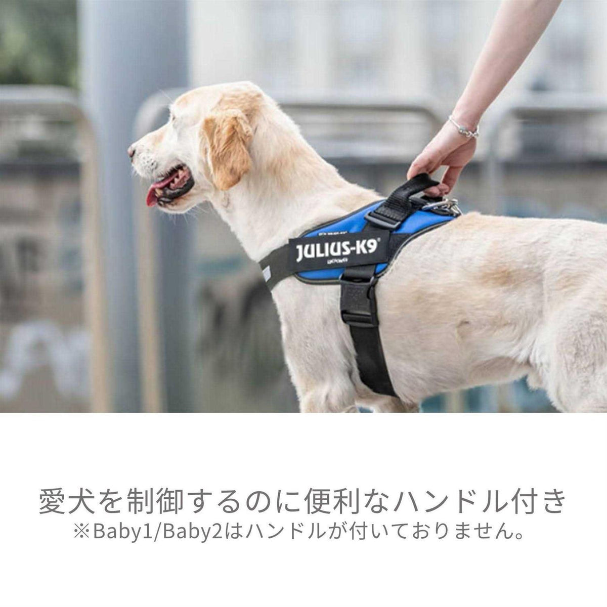 Powerharness X3063