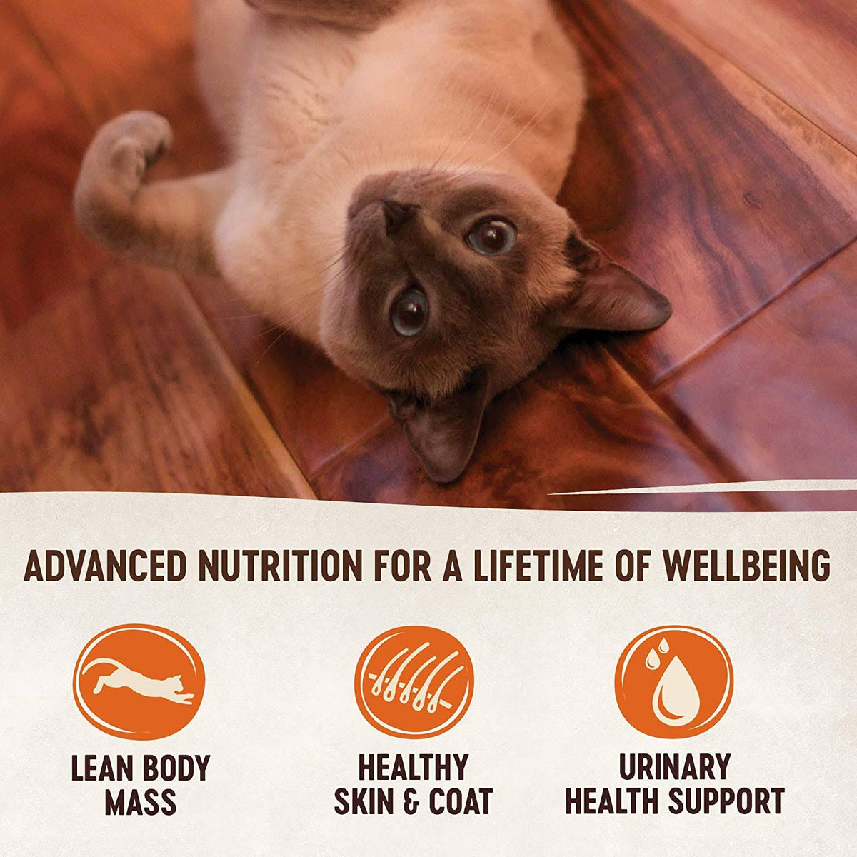 Grain-Free Pate Canned Cat Food, Chicken, Turkey & Chicken Liver, 5.5 oz Case of 24 X147