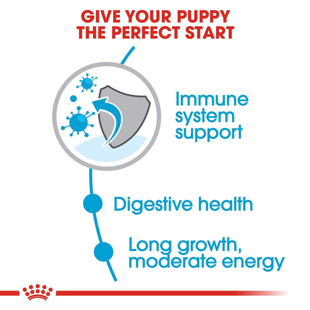 Large Breed Puppy Dry Dog Food Q193