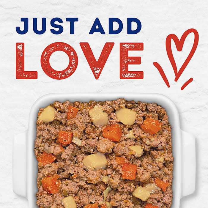 Tender Beef & Potato Recipe Wet Dog Food H5718