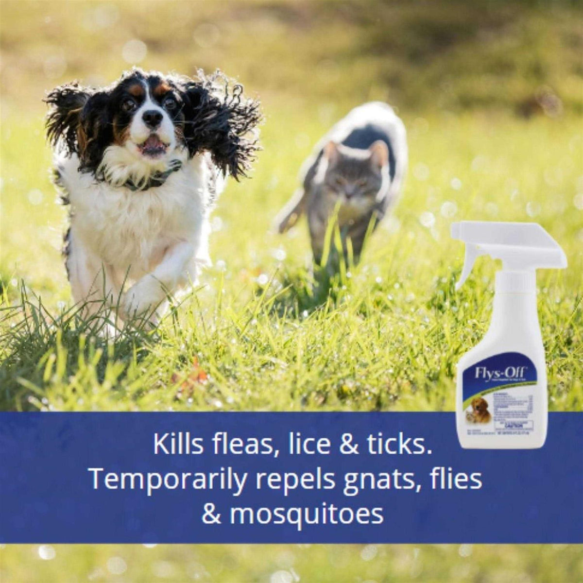 Insect Repellent for Dogs U7073