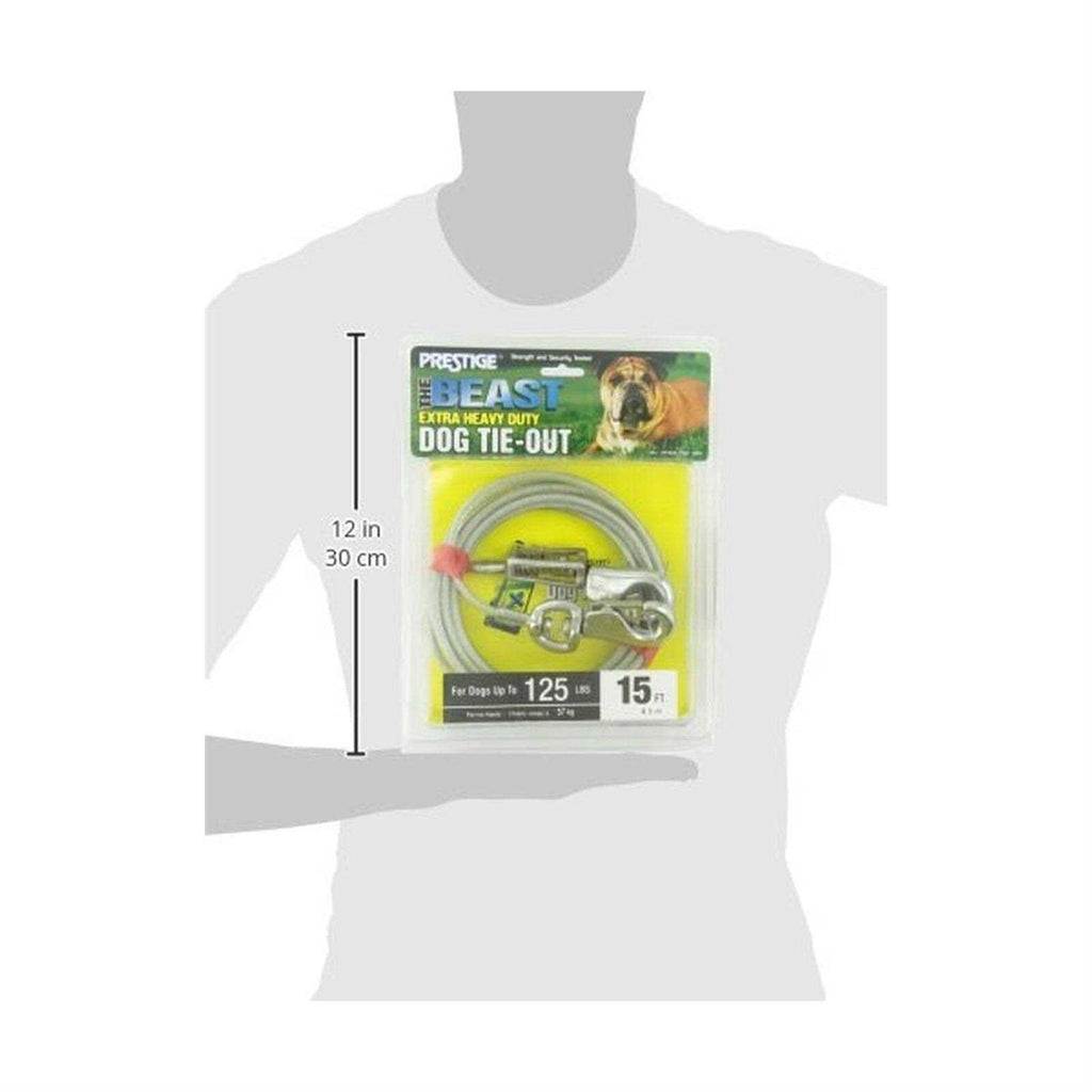 15ft XL Dog Tie-Out with Spring I44806