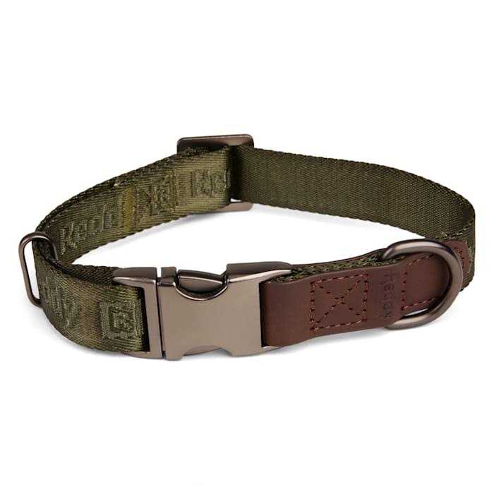 Dog Collar U21911
