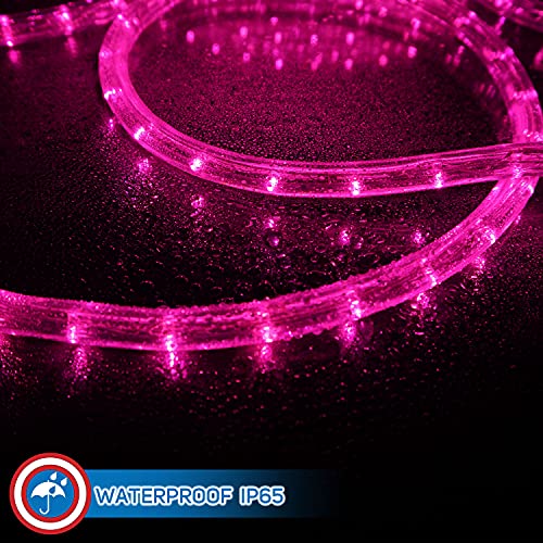 LED Rope Lights Cool White 50 R24443