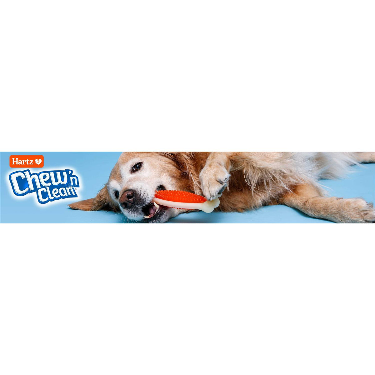 Dog Chew Toy Treat N9895