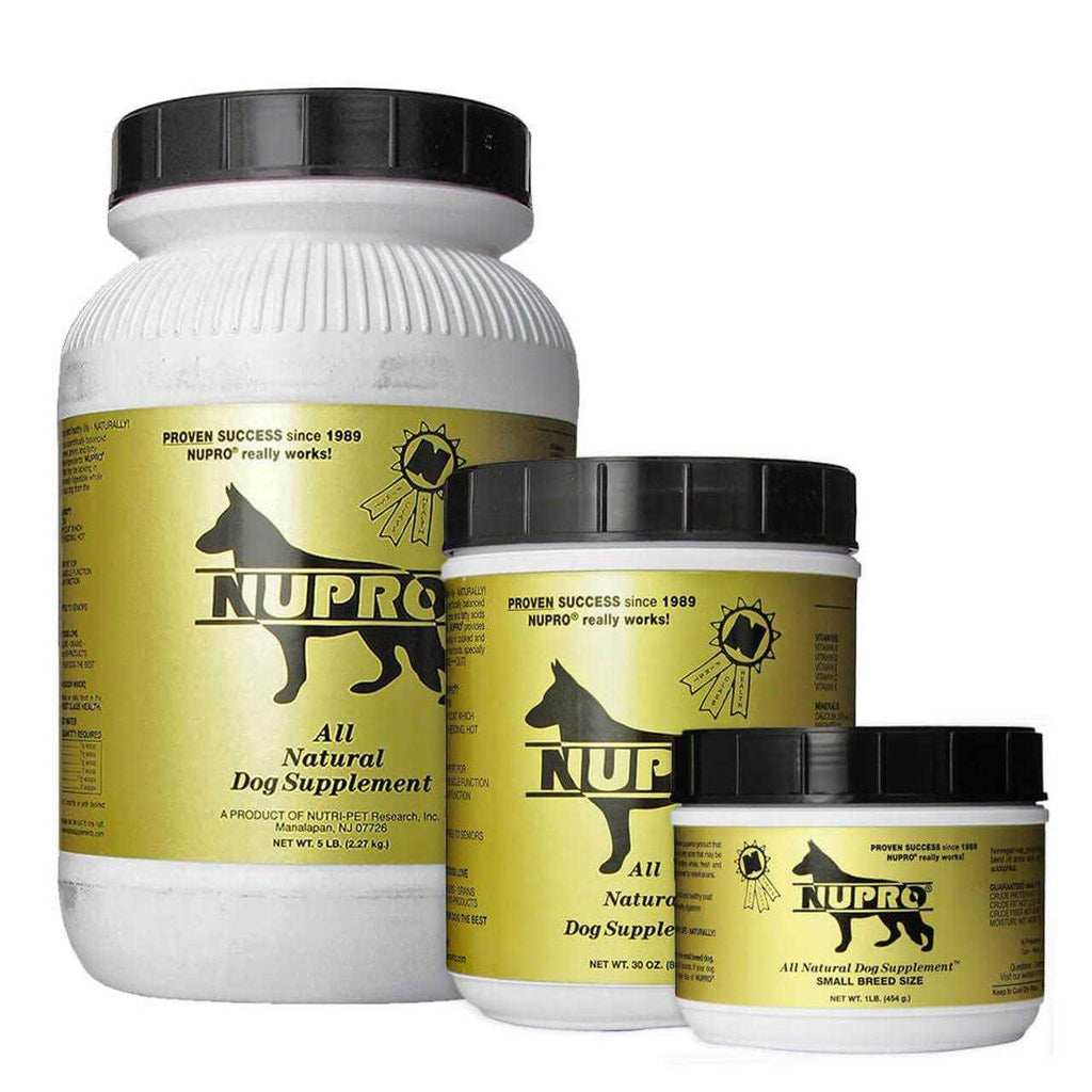 All Natural Dog Supplement B28015